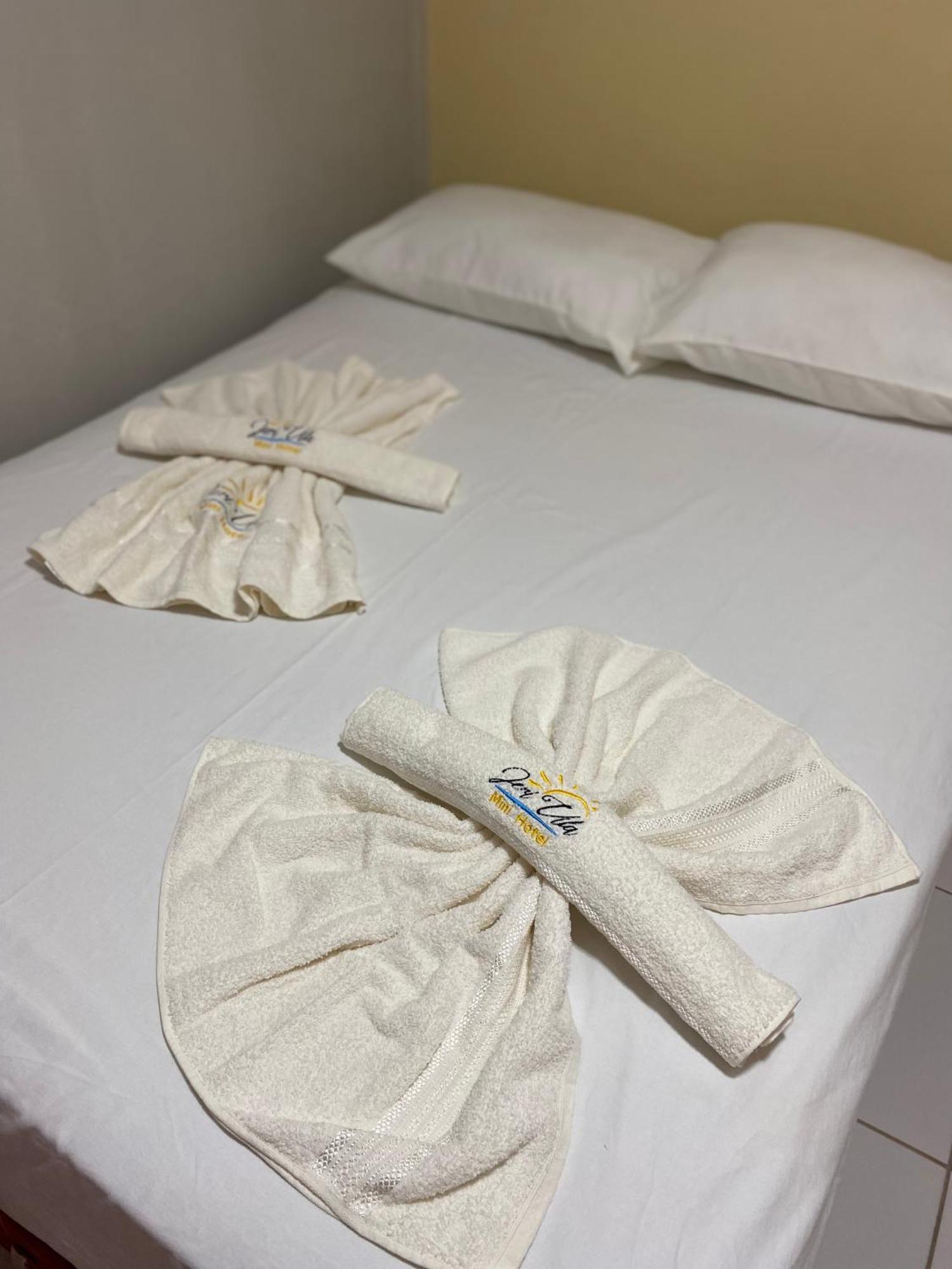 Jeri Vila Mini Hotel ジジョーカ・デ・ジェリコアコアラ エクステリア 写真