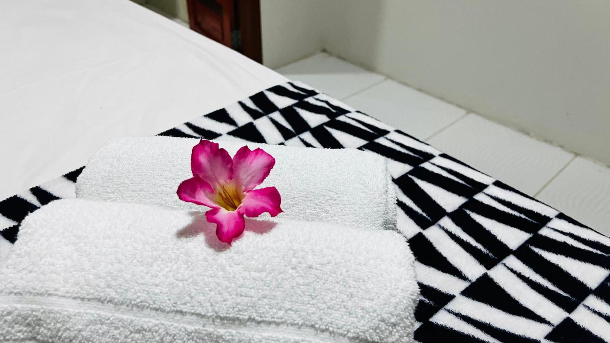 Jeri Vila Mini Hotel ジジョーカ・デ・ジェリコアコアラ エクステリア 写真